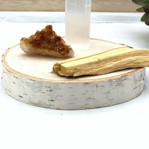 Birch Round Tree Slice - 4” x 1/2” - Picture 5 of 5